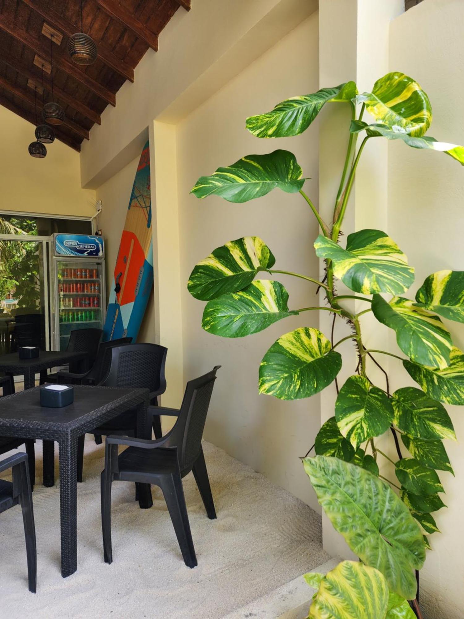 Dhigurah Dhonveli Boutique Hotell Eksteriør bilde